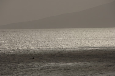 Similar image 7980271