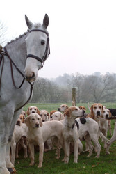 Similar image 7980278