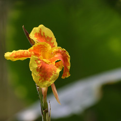 Similar image 7980281