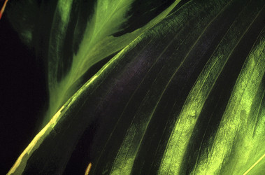 Similar image 7980284