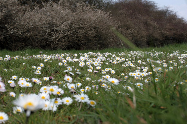 Similar image 7980295