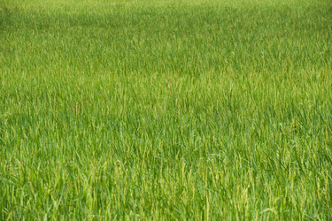 Similar image 7980299