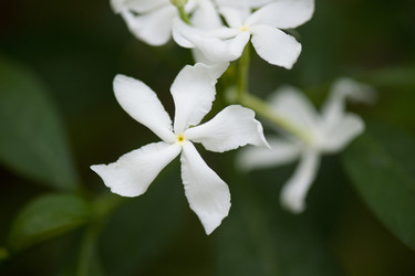 Similar image 7980300