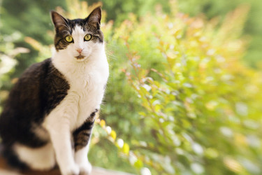 Similar image 7980310