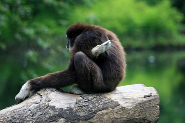 Similar image 7980314