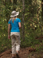 Similar image 7980324