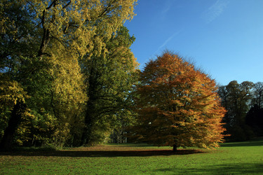 Similar image 7980330