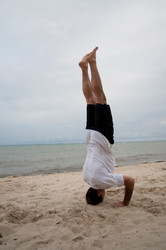 Similar image 7980331