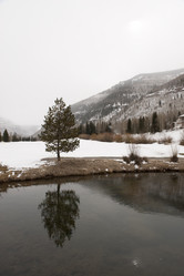 Similar image 7980332