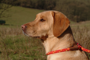 Similar image 7980342