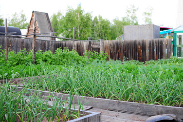 Similar image 7994348