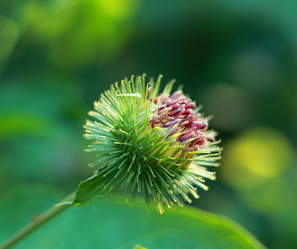 Similar image 7994886