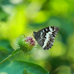 Similar image 7994887