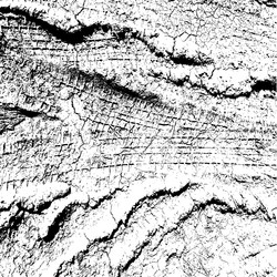 Similar image 7995115