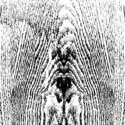 Similar image 7995142