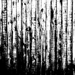 Similar image 7995179