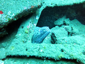 Similar image 7995197