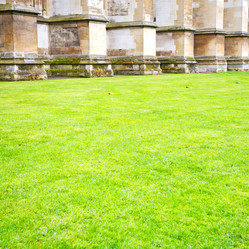 Similar image 7995255