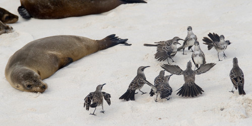 Similar image 7995597