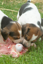 Similar image 7995601