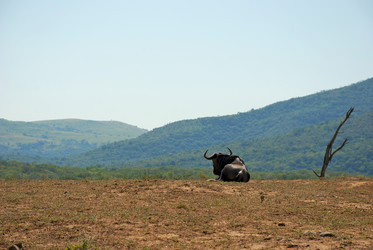 Similar image 7995602