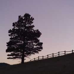 Similar image 7995607