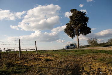 Similar image 7995608