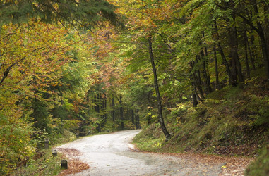 Similar image 7995611