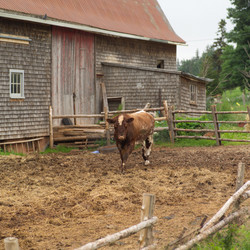 Similar image 7995623