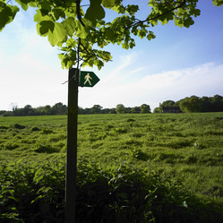 Similar image 7995649