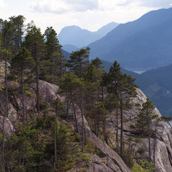 Similar image 7995650