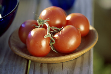 Similar image 7995653