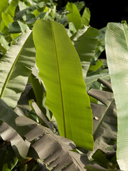 Similar image 7995654