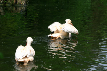 Similar image 7995656