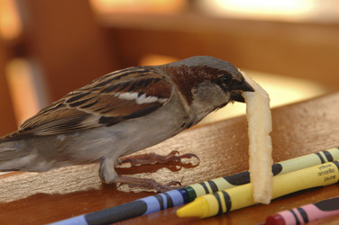 Similar image 7995659