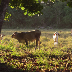 Similar image 7995665