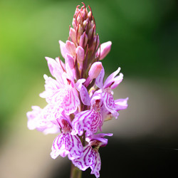 Similar image 7995682