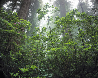 Similar image 7995683