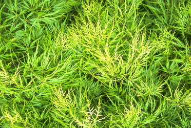 Similar image 7995695