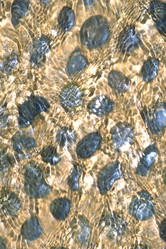 Similar image 7995696