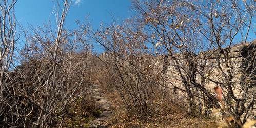 Similar image 7995704