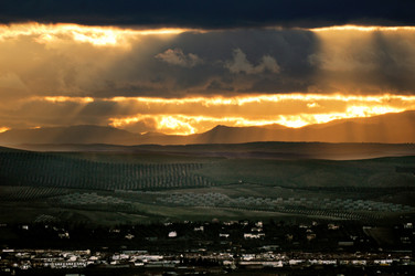 Similar image 7995711