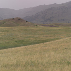 Similar image 7995712