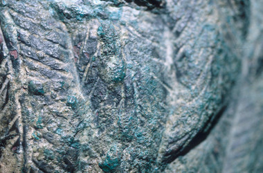 Similar image 7995807