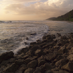 Similar image 7995808