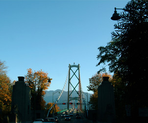 Similar image 7995813