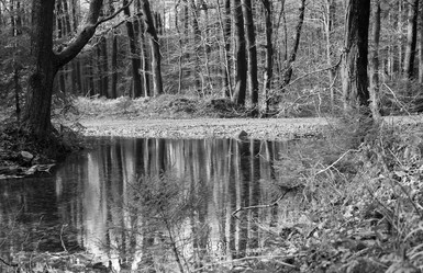 Similar image 7995818