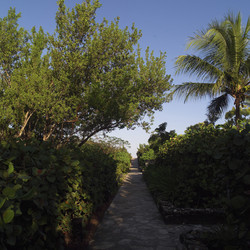 Similar image 7995821