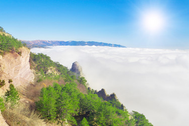 Similar image 7995862