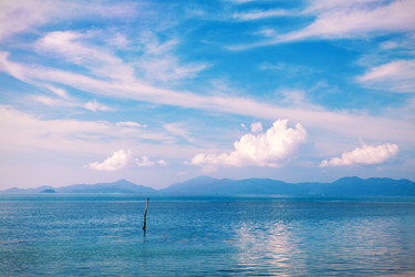 Similar image 7995868